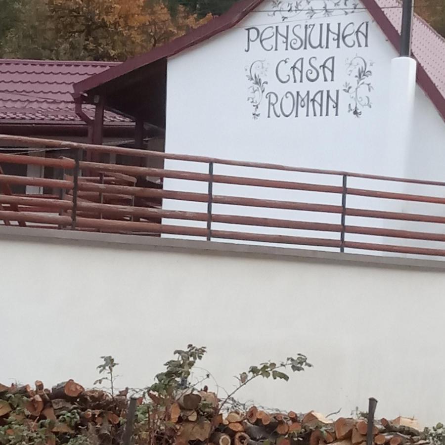 Pensiunea Casa Roman Tălmaciu Buitenkant foto