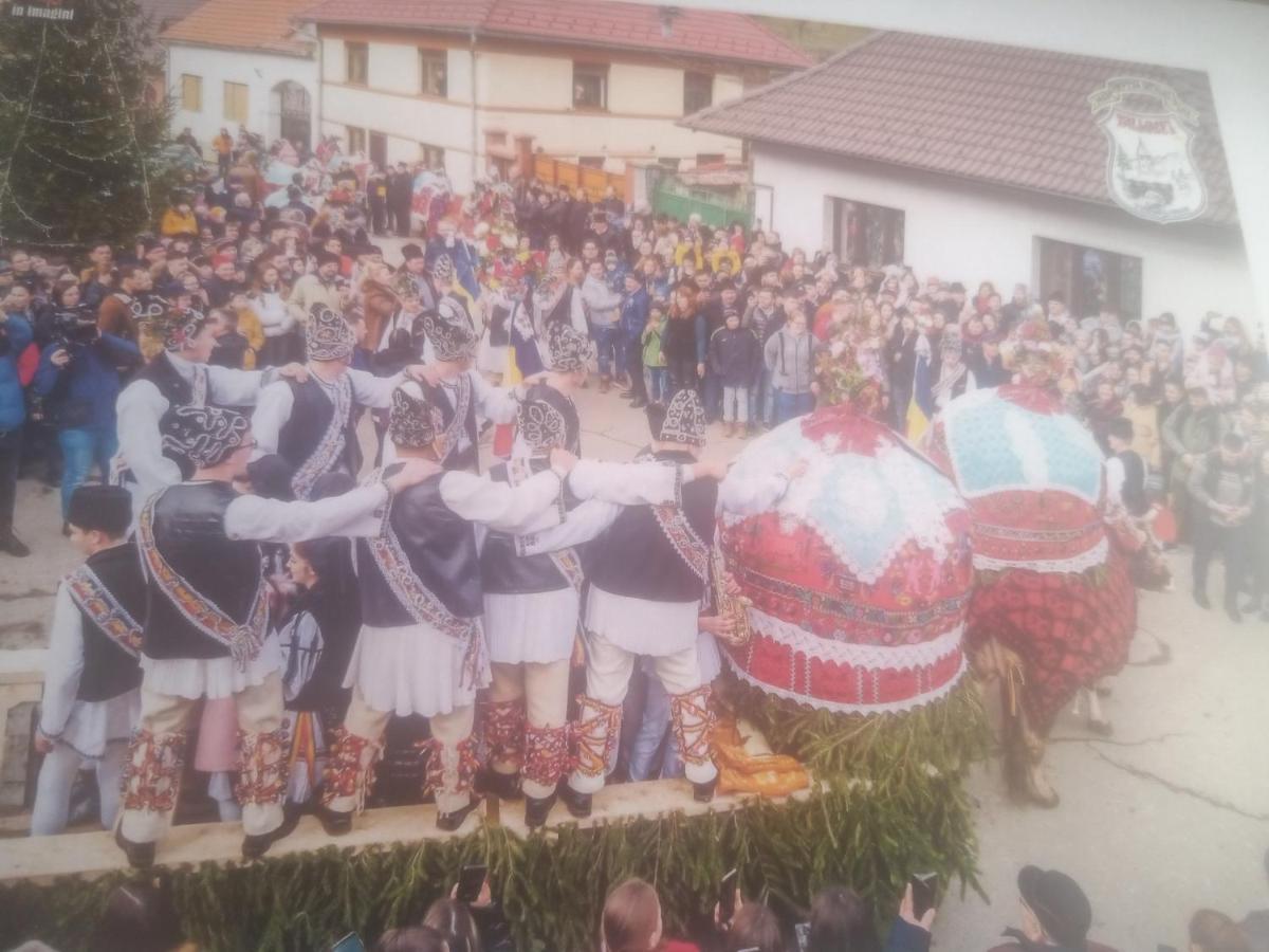 Pensiunea Casa Roman Tălmaciu Buitenkant foto